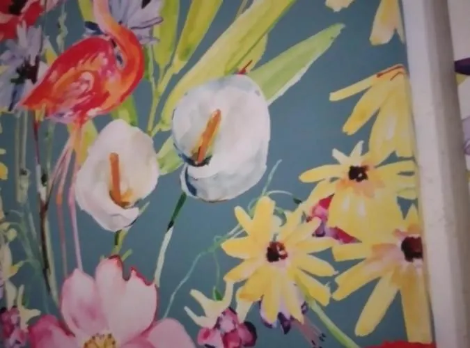 Casa de hóspedes Gioia Chic & Economy Gioia Tauro